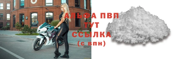 шишки Осташков